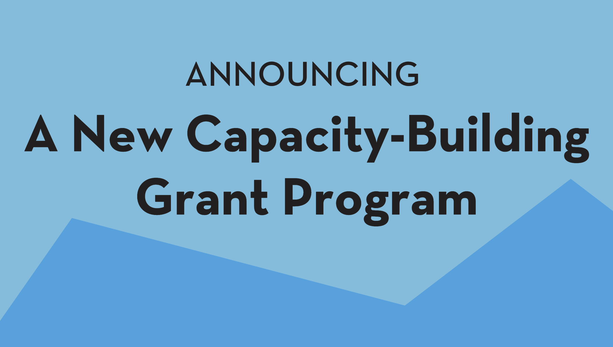 CapacityBuilding Grant Program Community of Literary Magazines and