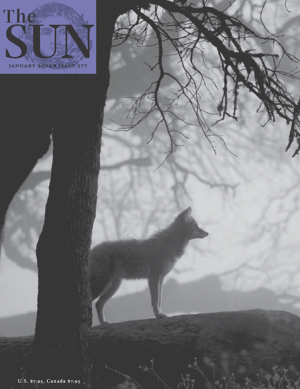 January 2024 Roundup Of Member Magazines Community Of Literary   Sun Jan 2024 600x778 