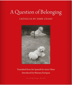 Cover of A Question of Belonging: Crónicas by Hebe Uhart, featuring a black and white photo of a small white dog lying in front of a big white lion statue.