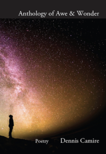 Cover of Anthology of Awe & Wonder by Dennis Camire, featuring a photo of a silhouetted person in profile, standing and looking up at a pink and yellow night sky filled with stars.