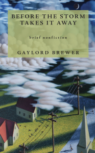 Cover of Before the Storm Takes It Away by Gaylord Brewer, featuring an illustration of a street with two houses and a telephone line partially obscured by white clouds.