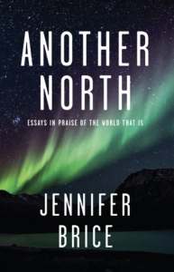 Cover of Another North by Jennifer Brice, featuring white text over an image of the aurora borealis.