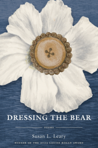 Cover of Dressing the Bear, featuring a white flower with a brown button at its center.