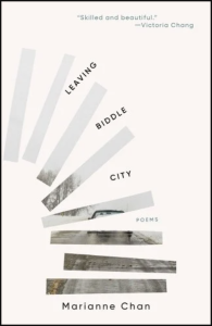 Cover of Leaving Biddle City, featuring cut pieces of a photograph arranged in stripes on a white background.