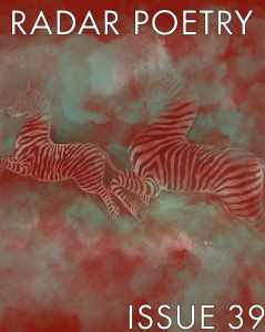 Cover of Radar Poetry, featuring a red-toned illustration of two leaping zebras.