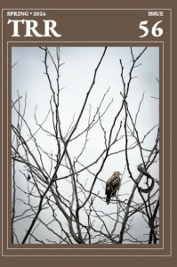 Cover of Talking River Review, featuring a photograph of a hawk on a bare tree branch.