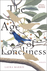 Cover of The Age of Loneliness, featuring an illustration of blue birds on a branch.