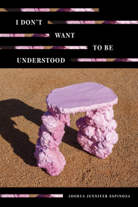 Cover of I Don't Want to Be Understood featuring a photograph of a stool made of a pink organic-looking material.