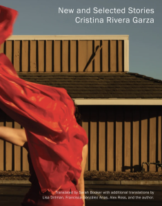 Cover of New and Selected Stories featuring a red dress against a brown building.