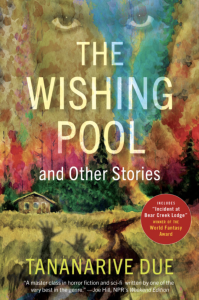 Cover of The Wishing Pool, featuring a painted face juxtaposed over a rainbow sky above a house in a field.