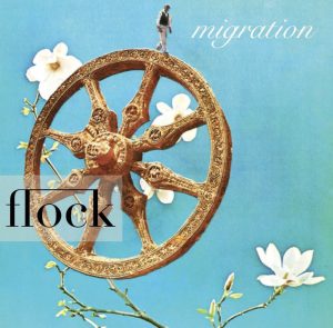 Cover of Flock 