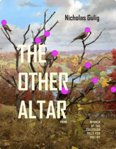 Cover of The Other Altar by Nicholas Gulig, featuring an illustration of multiple brown birds sitting on bare tree branches with pink dots covering their faces, and red, yellow, and green trees in the background. 