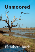 Cover of Unmoored by Elizabeth Burk, featuring black text and a photograph of a bare tree in a brown marshland against a bright blue sky. 