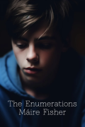 Cover of The Enumerations by Maire Fisher, featuring an image of a boy in a blue hoodie with a serious expression on his face, partially obscured by shadows.